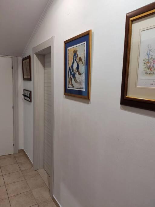 Bird View Apartment Carlissima Traù Esterno foto